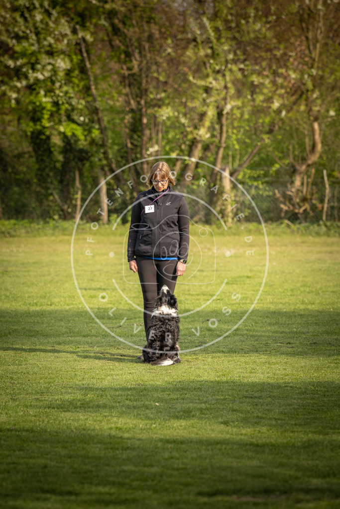 Pfotenfotografie_DV3A4881 | Hundefotografie, Tierfotograf, Pfotenfotografie, Fotoshooting Hund, Hunde Portrait, Hundesport, Hundeportraits, Heideshooting, Hunde, Sportfotograf, Hundefotograf, Turnierhundsport, THS,  - Realisiert mit Pictrs.com