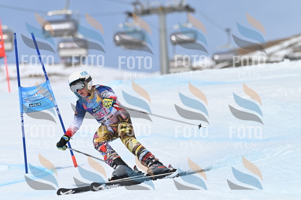 BGV_3984 | holidayphoto