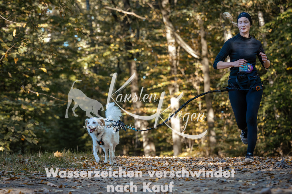1134_ZZ92732 | kk-dogfotos