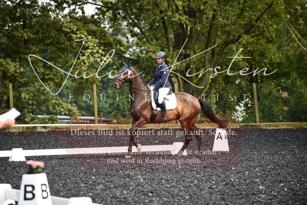 DSC_3041 | Pferde- und Turnierfotografie in Westsachsen. Pferdeportraits, Auftragszeichnungen und intuitive Kunst.