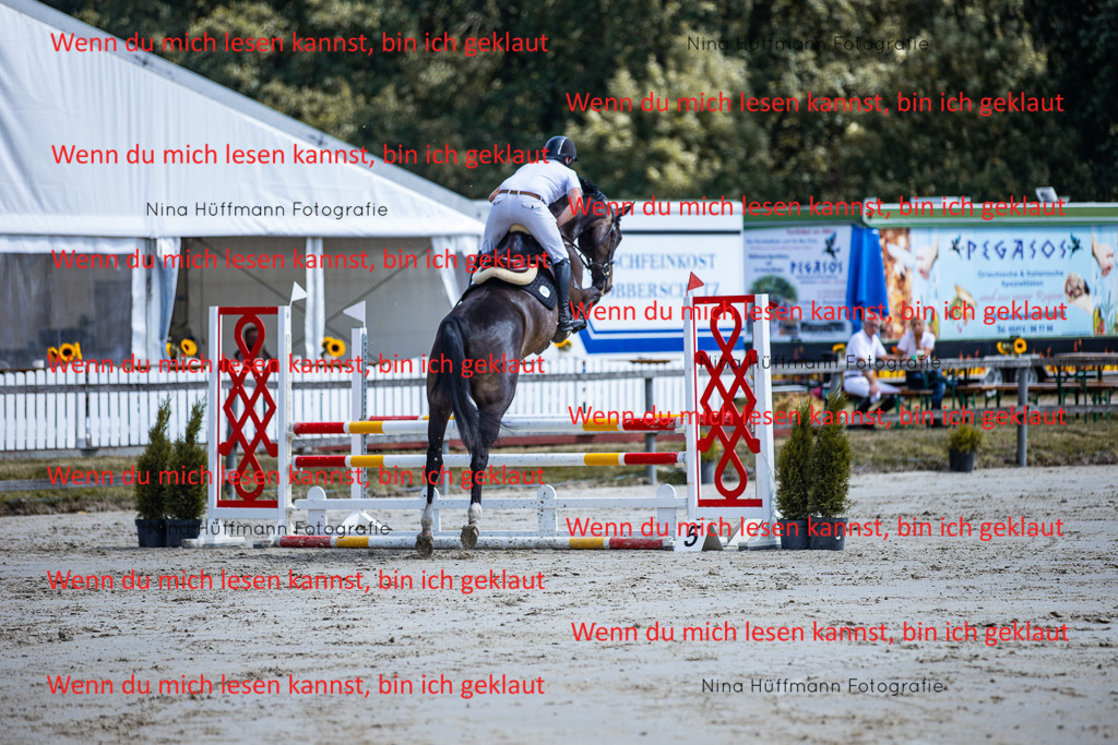 BK1A5071 | Turnierbilder Turnierfotos Nina Hüffmann Turnierfotografie Pferdefotografie Tierzeichnung Haustierzeichnung Pferdezeichnung Hundezeichnung Videograf  - Realisiert mit Pictrs.com