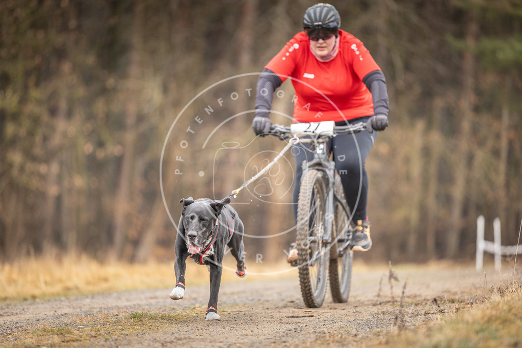 DV3A3337 | Hundefotografie, Tierfotograf, Pfotenfotografie, Fotoshooting Hund, Hunde Portrait, Hundesport, Hundeportraits, Heideshooting, Hunde, Sportfotograf, Hundefotograf, Turnierhundsport, THS,  - Realisiert mit Pictrs.com