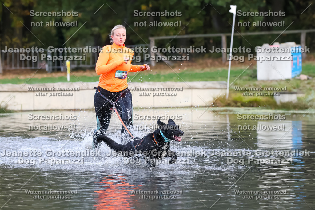 Dog Paparazzi - Strongdog 10-25-6385 | Dog Paparazzi Jeanette Grottendiek Fotografie & Videografie - Realisiert mit Pictrs.com