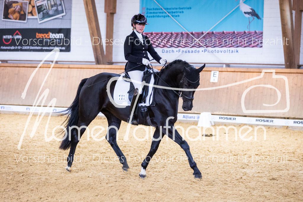 Sth-A-Dre-2St-149 | MomenTaufnahmen Pferdesportfotos