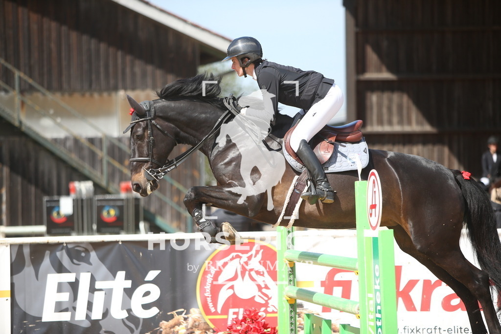 PP014096 | Willkommen bei Brunnmayr - Design & Fotografie – Ihrem Spezialisten für Reitturniere und Pferdeveranstaltungen in Oberösterreich, Salzburg und Bayern! Seit über 17 Jahren sind wir leidenschaftlich dabei.