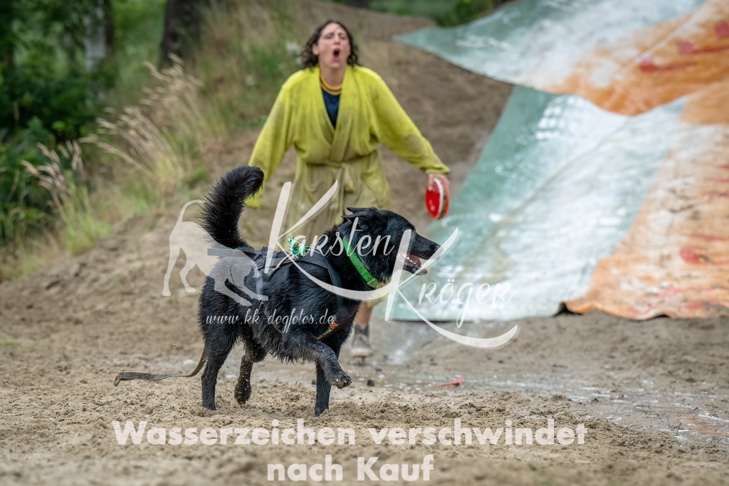 1158_ZZ90033-Bearbeitet | kk-dogfotos