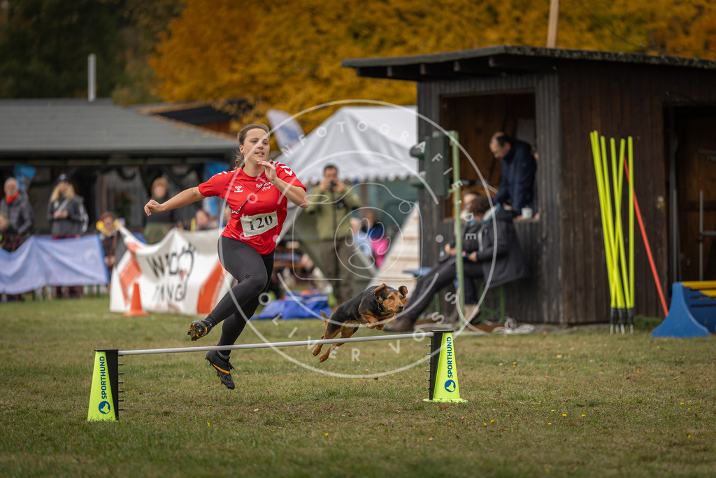 Pfotenfotografie_DV3A7263 | Hundefotografie, Tierfotograf, Pfotenfotografie, Fotoshooting Hund, Hunde Portrait, Hundesport, Hundeportraits, Heideshooting, Hunde, Sportfotograf, Hundefotograf, Turnierhundsport, THS,  - Realisiert mit Pictrs.com