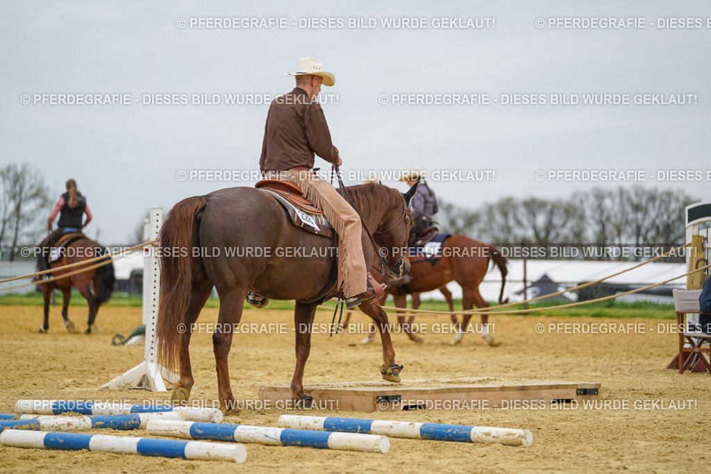 DSC02882 | Pferdegrafie