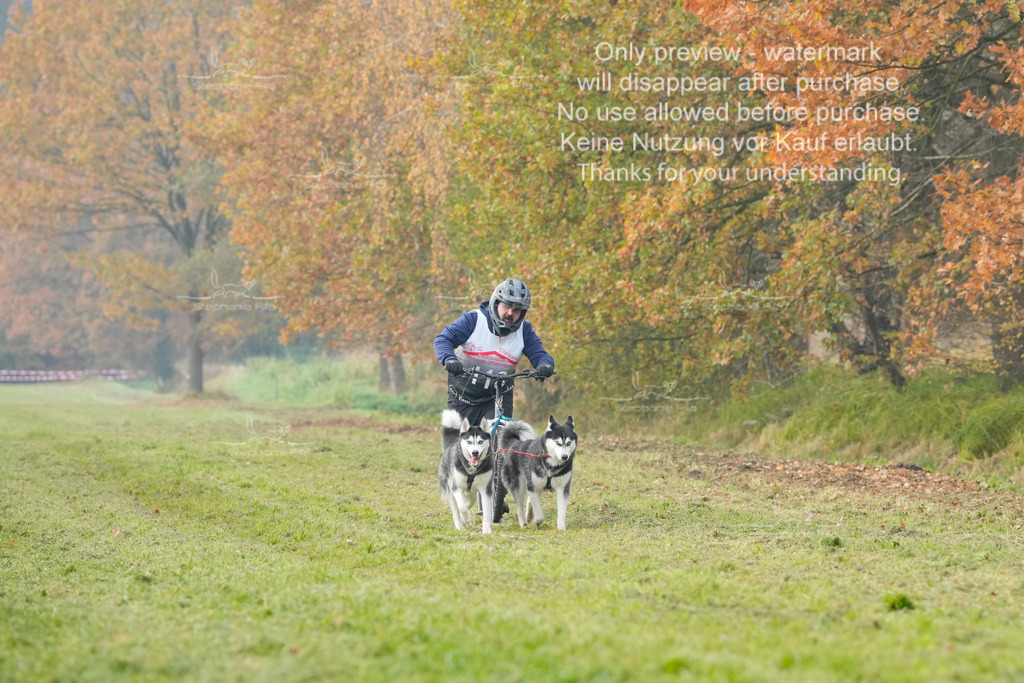 Visbeck_Sa_DS2DR2-157 | stephaniefillaphotographie - Realisiert mit Pictrs.com