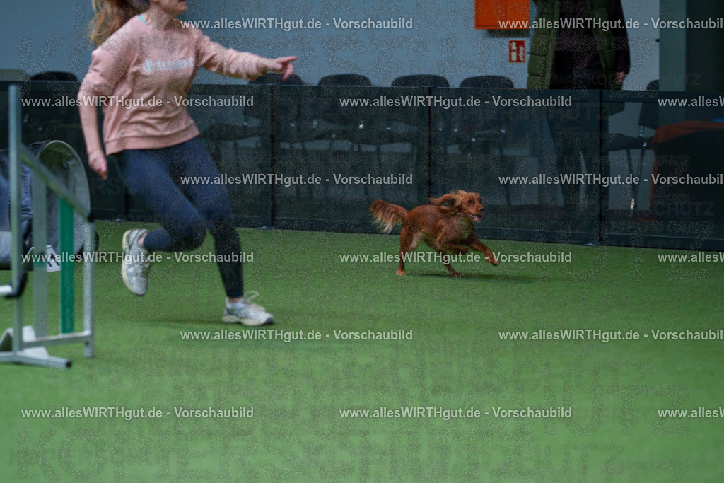 @allesWIRTHgut_Tierfotografie - www.allesWIRTHgut.de - 2604251123-7R500385 | Professionelle Tierfotografie in Mönchengladbach von Daniel Wirth (allesWIRTHgut). Liebevolle & natürliche Bilder von Hunden & Katzen für unvergessliche Erinnerungen.