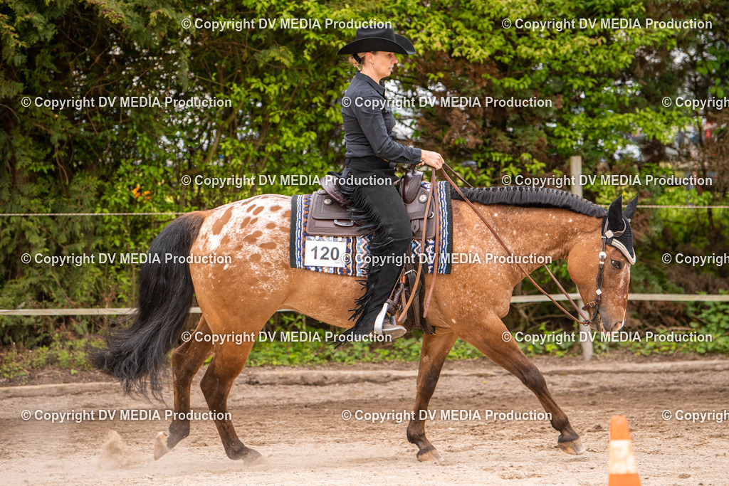 Balingen Tag 2-211 | dv-media-shop - Realisiert mit Pictrs.com
