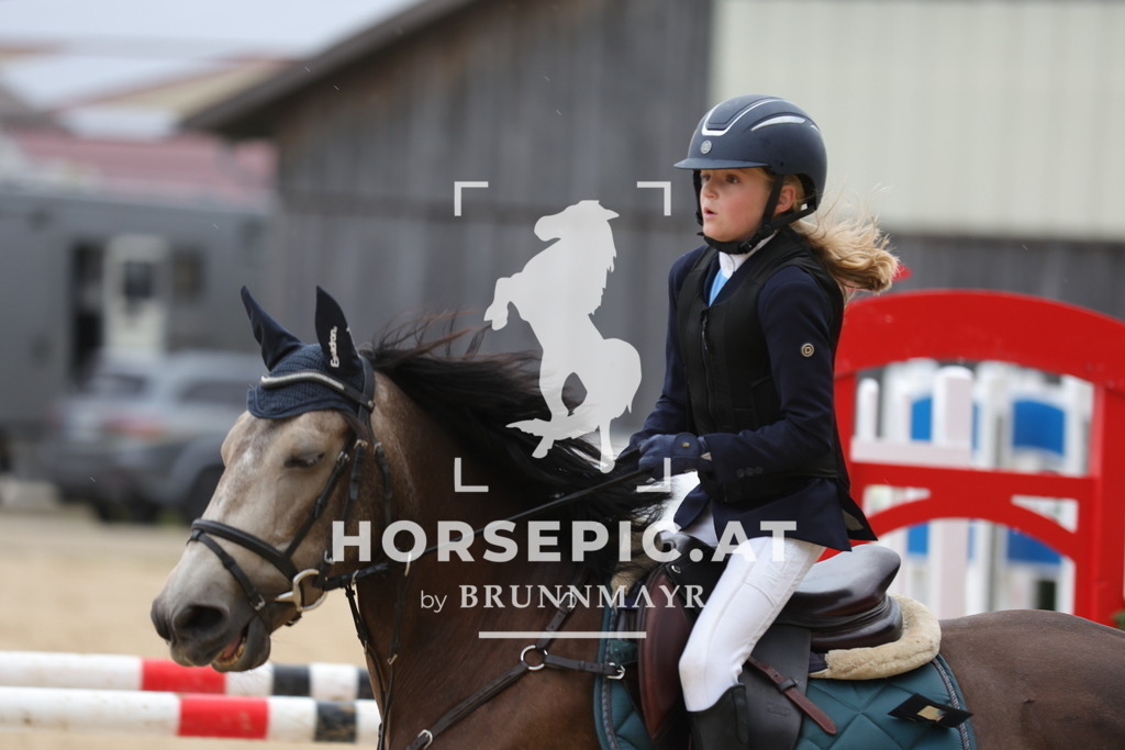 0P6A7114 | Willkommen bei Brunnmayr - Design & Fotografie – Ihrem Spezialisten für Reitturniere und Pferdeveranstaltungen in Oberösterreich, Salzburg und Bayern! Seit über 17 Jahren sind wir leidenschaftlich dabei.