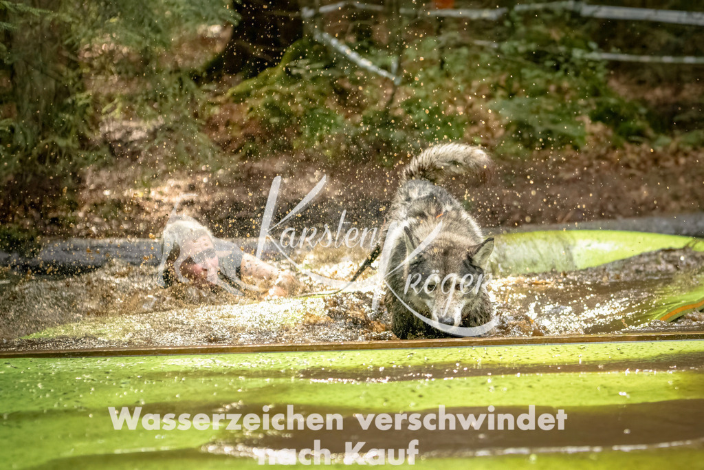 1406_ZZ91005-Bearbeitet | kk-dogfotos