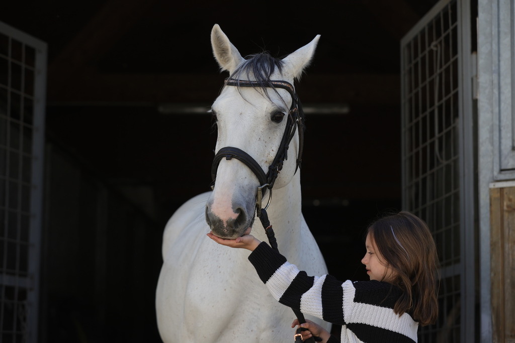 0P6A9015 | Willkommen bei Brunnmayr - Design & Fotografie – Ihrem Spezialisten für Reitturniere und Pferdeveranstaltungen in Oberösterreich, Salzburg und Bayern! Seit über 17 Jahren sind wir leidenschaftlich dabei.