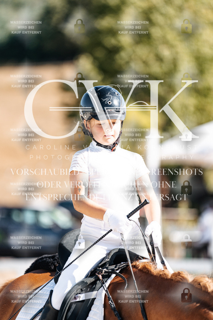 CK903338 | Turnierfotografie Pferdefotografie Trier Rheinland-Pfalz Pferdesport Reitsport Tierfotografie Sportfotografie Pferdevideo Pferdevideografie Equestrianvideography equestrianphotography  - Realisiert mit Pictrs.com