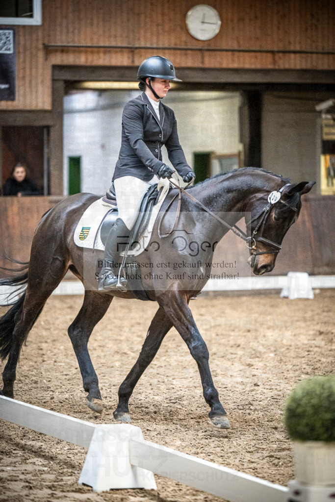 DOS_0673 | Entdecke hochwertige Reitturnierfotos von Foto Oger. Professionell, emotional und authentisch – jetzt Lieblingsmomente im Shop bestellen.Deutschlandweite Turnierfotografie. - Realisiert mit Pictrs.com