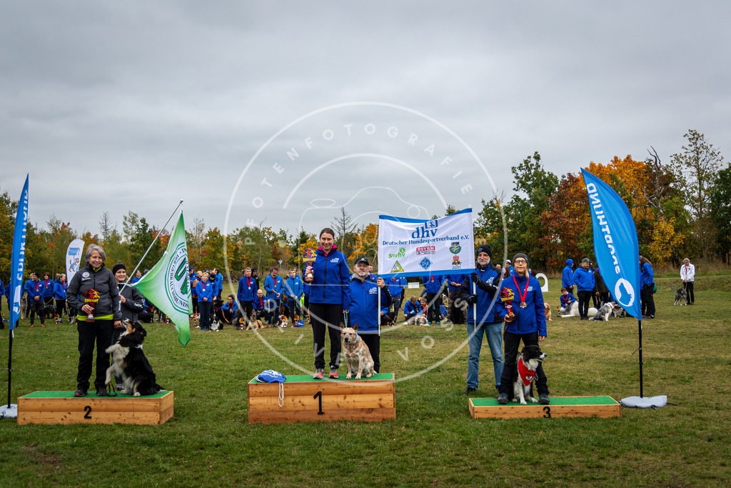 Pfotenfotografie_0L8A0553 | Hundefotografie, Tierfotograf, Pfotenfotografie, Fotoshooting Hund, Hunde Portrait, Hundesport, Hundeportraits, Heideshooting, Hunde, Sportfotograf, Hundefotograf, Turnierhundsport, THS,  - Realisiert mit Pictrs.com