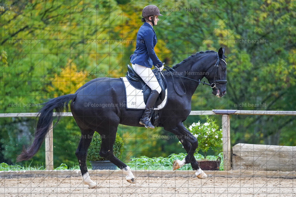 20221008-FAH00683 | Diessen am Ammersee, 2022, Dressur- und Springturnier, Reitsportbilder, Turnierfotografen Bayern, Pferdefotografen, Fotoagentur Herrmann, Turnierbilder