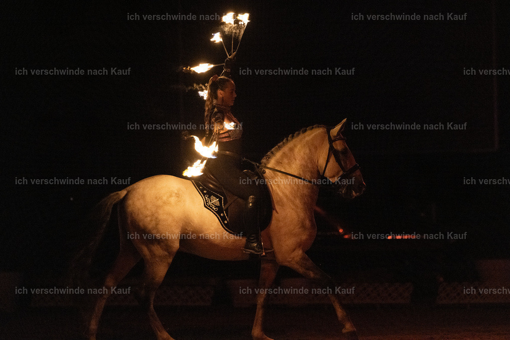 FHClassics-366 | working equitationturnier fotograf videograf stoibphotography marixx film working equitation deutschland reitsport turnierfotografie eventfotografie equestrian events