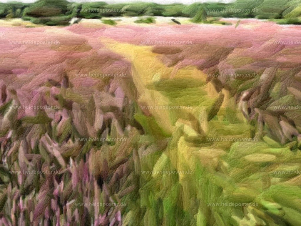 brushed_14kre005 | Poster aus der Lüneburger Heide - Realisiert mit Pictrs.com