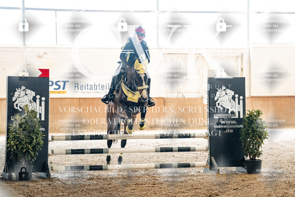 CK905375 | Turnierfotografie Pferdefotografie Trier Rheinland-Pfalz Pferdesport Reitsport Tierfotografie Sportfotografie Pferdevideo Pferdevideografie Equestrianvideography equestrianphotography  - Realisiert mit Pictrs.com