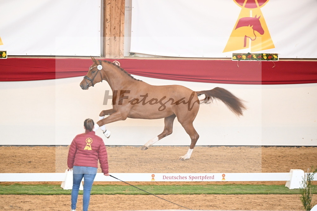 Kat.-Nr. 86 v. Vitalis_Bachinger_2250868 | hf-fotografie - Realisiert mit Pictrs.com