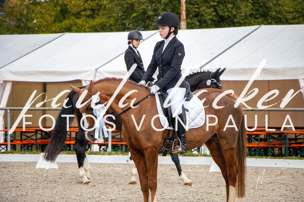 IMG_6990 | Erleben Sie dynamische Sport- und emotionale Tierfotografie in Süddeutschland mit Fotos von Paula. Spezialisiert auf Pferde- und Hundefotografie sowie Sportevents. Kontaktieren Sie mich für einzigartige und ausdrucksstarke Bilder Ihrer besonderen Momente. - Realisiert mit Pictrs.com