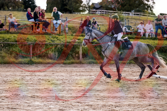 2026_10_03_Siefer-Hof_145111_Z81_29725049 | Professionelle Reitsport-, Turnier- und Eventfotografie von Robert Broda. Galerien mit ausgewählten und bearbeiteten Bildern direkt online ansehen und bestellen.