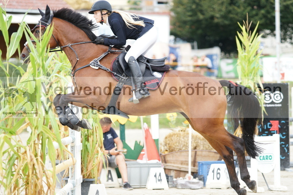 DSC03728 | equestrian-live-com