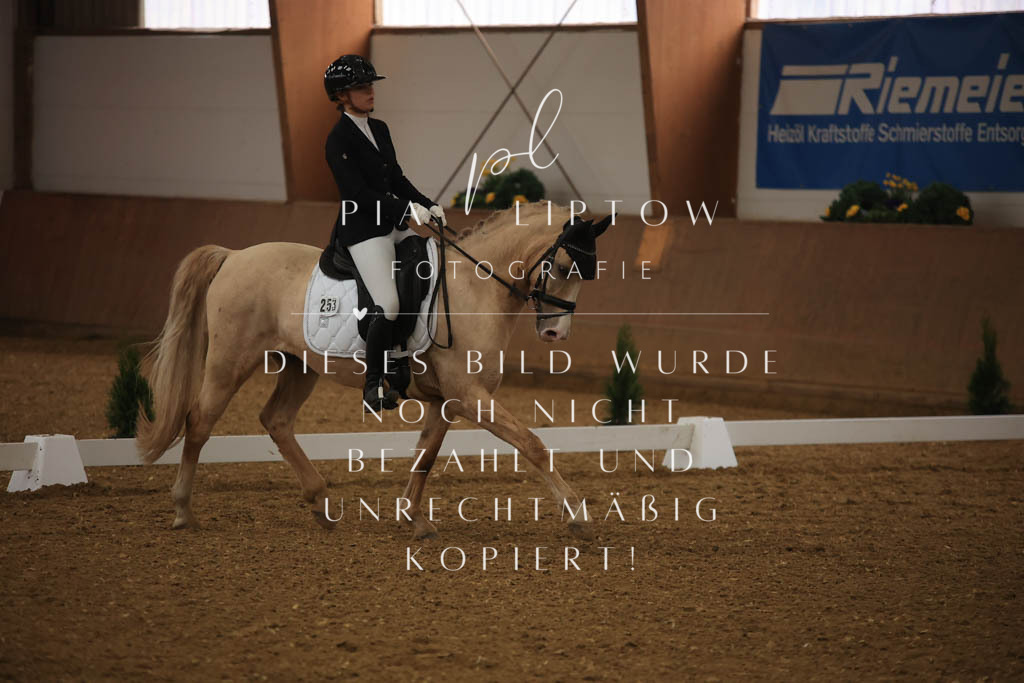 IMGT0264 | pl-fotografie