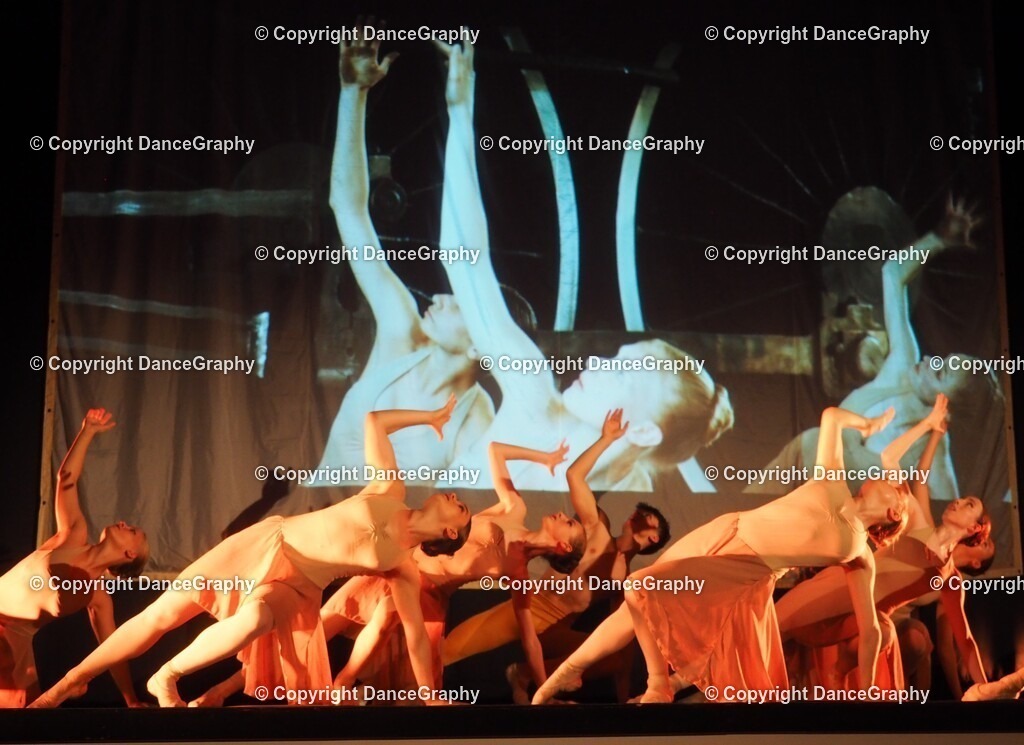 P1010884 | OLYMPUS DIGITAL CAMERA - Realisiert mit Pictrs.com