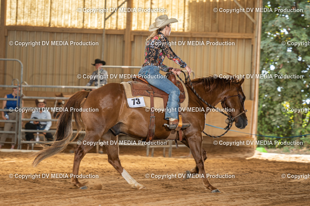 NID03238 | dv-media-shop - Realisiert mit Pictrs.com