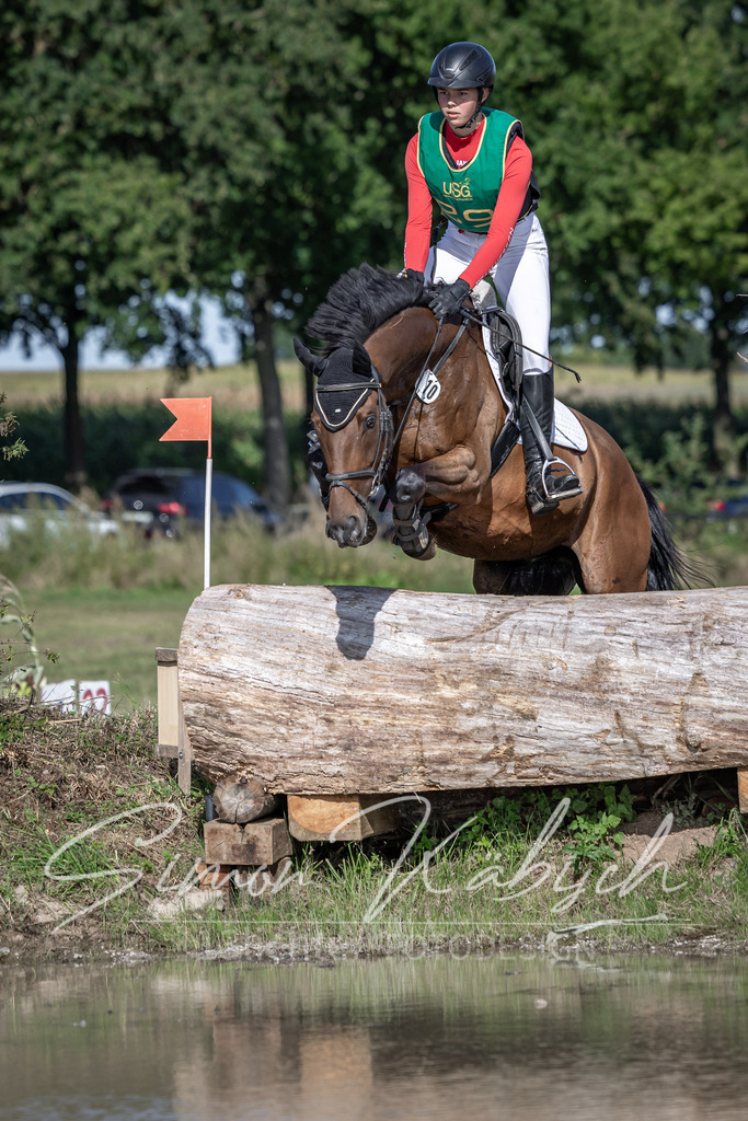 20250907-_3LI3034 | Tierfotografie Pferde, Hunde, Katzen, Haustiere.
Turnierfotografie Reitturniere, Reiten, Springreiten, Dressur in Hanau, dem Main-Kinzig-Kreis und dem Rhein-Main- Gebiet um Frankfurt