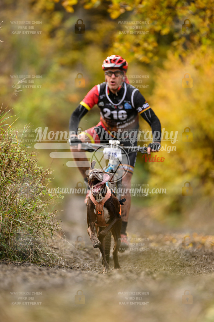 MompixPhotography_ICF_WC_2024_SA_Bike_-365 | PayLife