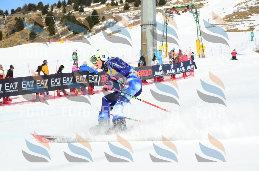 DSC_0457 | holidayphoto