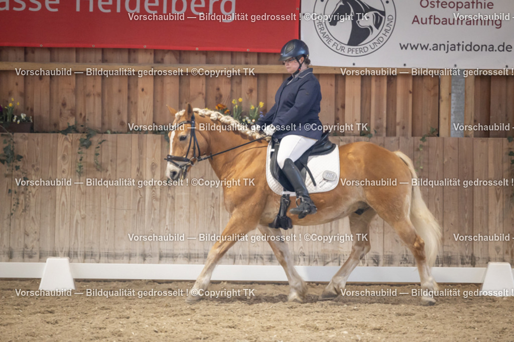 _D5A2454 | Emotionale Pferde- & People-Fotografie rund um Heidelberg, Leimen & Umgebung. Natürliche Fotos von Pferd, Mensch & Familie. Jetzt Termin sichern!