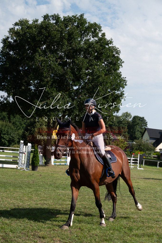 DSC_1041 | Pferde- und Turnierfotografie in Westsachsen. Pferdeportraits, Auftragszeichnungen und intuitive Kunst.