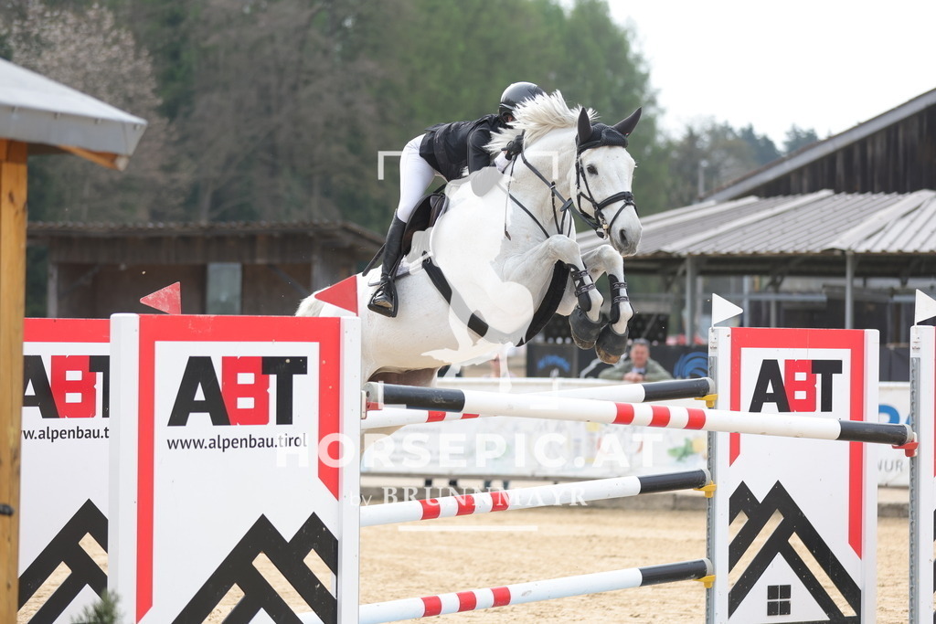 0P6A7060 | Willkommen bei Brunnmayr - Design & Fotografie – Ihrem Spezialisten für Reitturniere und Pferdeveranstaltungen in Oberösterreich, Salzburg und Bayern! Seit über 17 Jahren sind wir leidenschaftlich dabei.