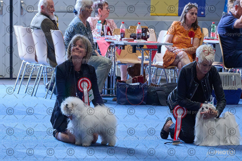 202406_ÖKV-IHA-Tulln24_DSC_5145 | proPHOTO - Realisiert mit Pictrs.com