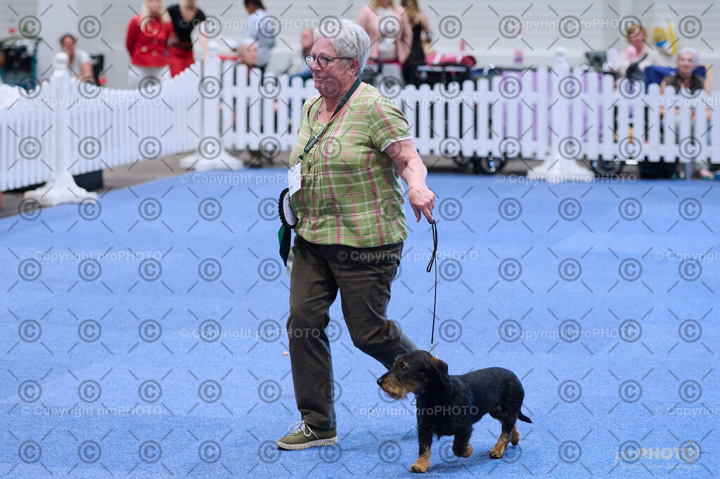 202406_ÖKV-IHA-Tulln24_DSC_3899 | proPHOTO - Realisiert mit Pictrs.com