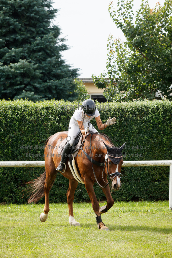 IMG_2999 | P. Berger Fotografie - Realisiert mit Pictrs.com