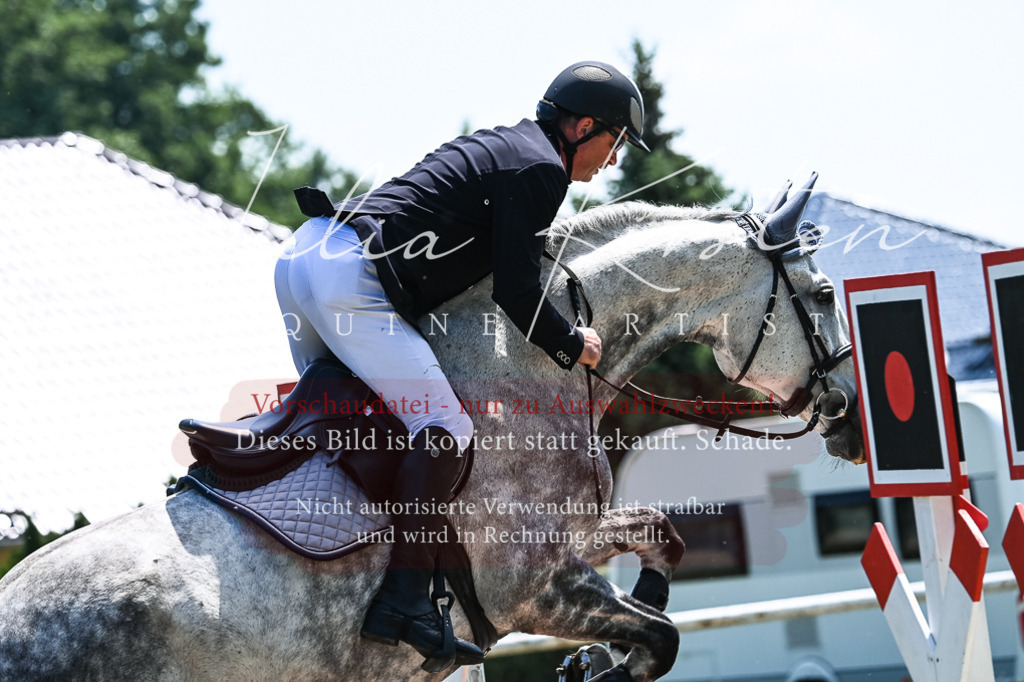 DSC_0031 | Pferde- und Turnierfotografie in Westsachsen. Pferdeportraits, Auftragszeichnungen und intuitive Kunst.