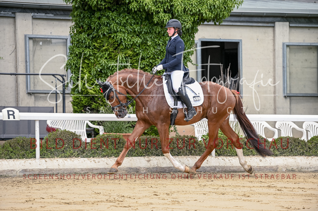 Schugtsche-Aluta25-48.Reitpferfdeprf.-146 | Schugtsche Fotografie - Realisiert mit Pictrs.com