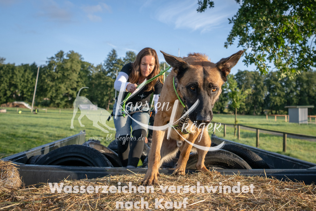 0810_ZZ90527 | kk-dogfotos