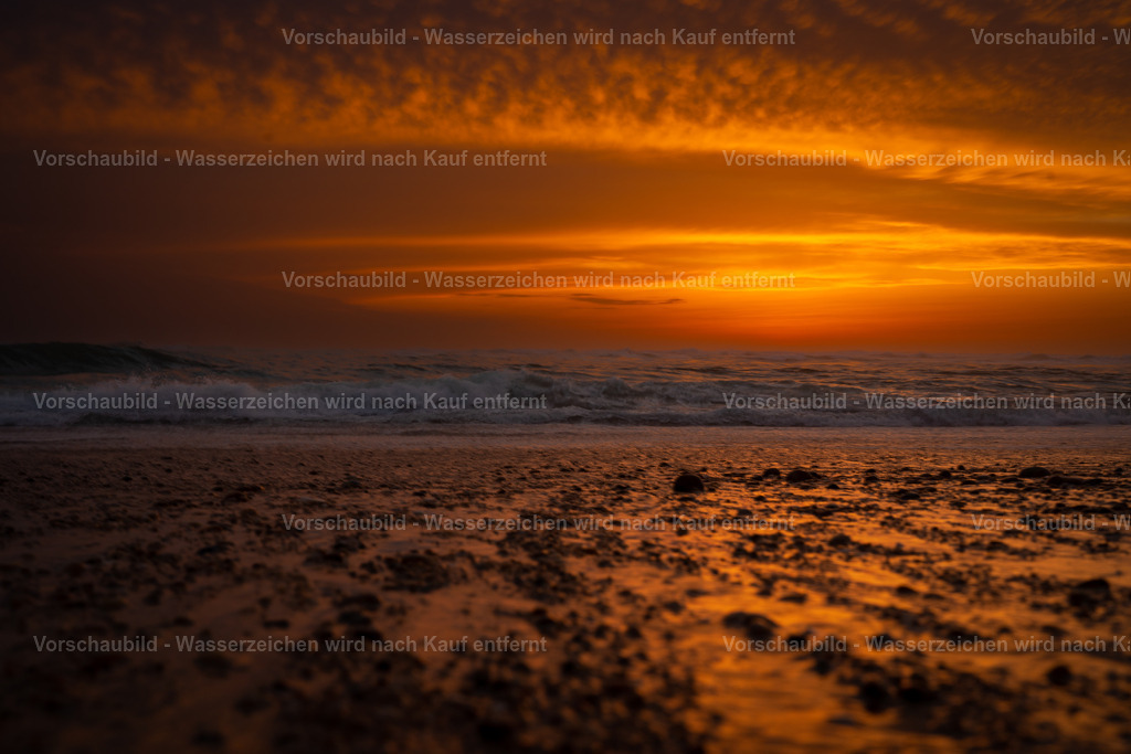 DSC03130 | marcuslinek