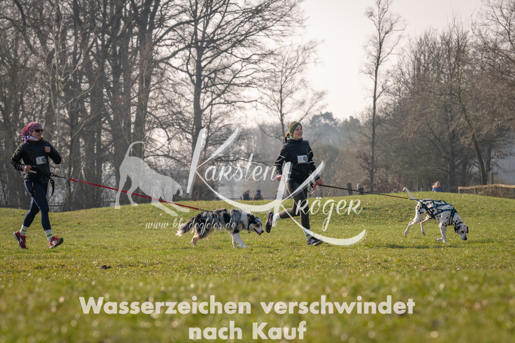 _ZZ94261 | kk-dogfotos