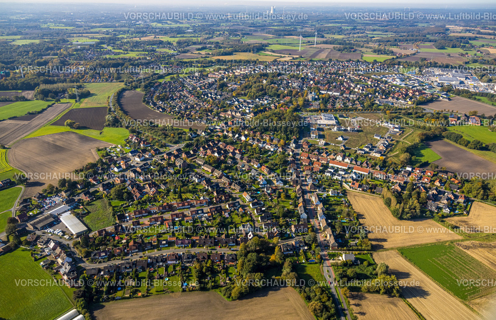 Selm241011259Bork | Luftbild, Wohngebiet Ortsansicht Ortsteil Bork mit Großbaustelle Am Alten Schützenplatz, Hassel, Selm, Münsterland, Nordrhein-Westfalen, Deutschland