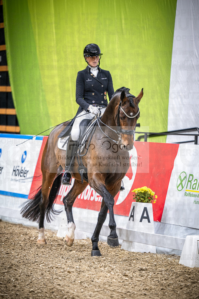DOS_0046 | Entdecke hochwertige Reitturnierfotos von Foto Oger. Professionell, emotional und authentisch – jetzt Lieblingsmomente im Shop bestellen.Deutschlandweite Turnierfotografie. - Realisiert mit Pictrs.com