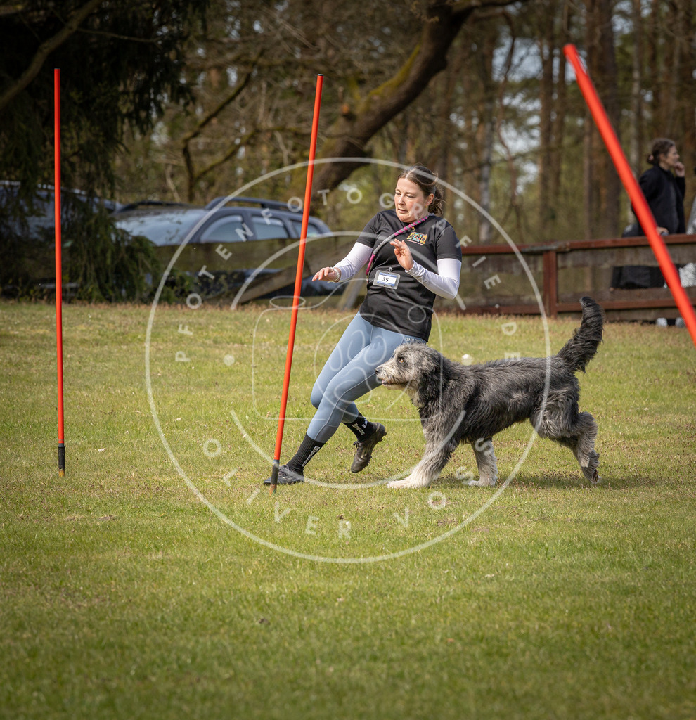 Pfotenfotografie_DV3A7340 | Hundefotografie, Tierfotograf, Pfotenfotografie, Fotoshooting Hund, Hunde Portrait, Hundesport, Hundeportraits, Heideshooting, Hunde, Sportfotograf, Hundefotograf, Turnierhundsport, THS,  - Realisiert mit Pictrs.com