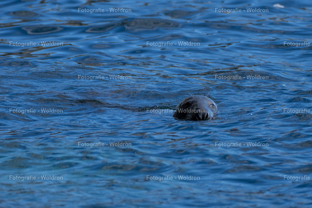 20230815 Isle of Sky - St.Andrews - Dundee-139 | Fotografie Woldron